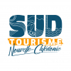 DSP ou gestion (marché public de service) - Société Publique Locale SUD TOURISME