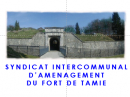 DSP ou gestion (marché public de service) - Syndicat intercommunal d’aménagement du Fort de Tamié