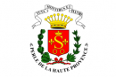 DSP ou gestion (marché public de service) - Mairie de Sisteron