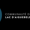 DSP ou gestion (marché public de service) - Communauté de Communes du Lac d'Aiguebelette
