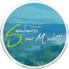 DSP ou gestion (marché public de service) - Commune de Saulxures sur Moselotte